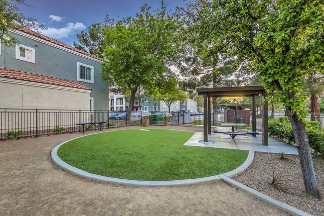 Parque para perros - Solstice Apartment Homes