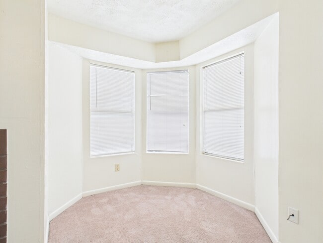 Photo - 4441 Old College Rd