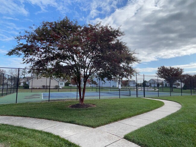 Photo - Everything You Need for Year Round Living ...