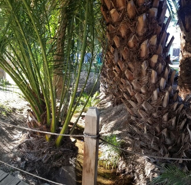 Photo - SLO Tropical Private Bungalow ideally located close to Cal Poly!