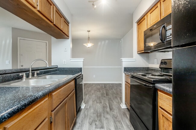 Photo - The Park at Hollyford