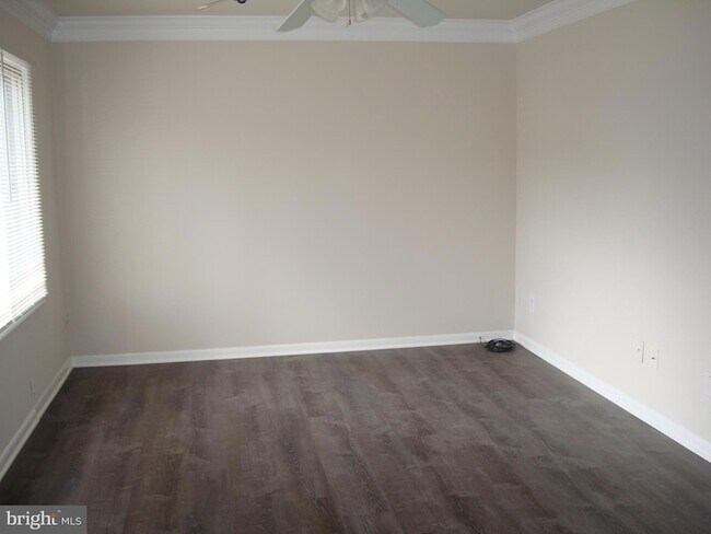 Photo - 204 Cameron St
