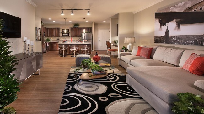 Photo - San Travesia