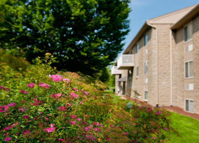 North Point Commons - North Pointe Commons Apartments