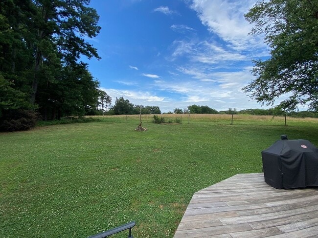 Photo - A little slice of paradise within minutes to downtown Greenviille