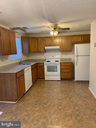 11231 Joyceton Dr