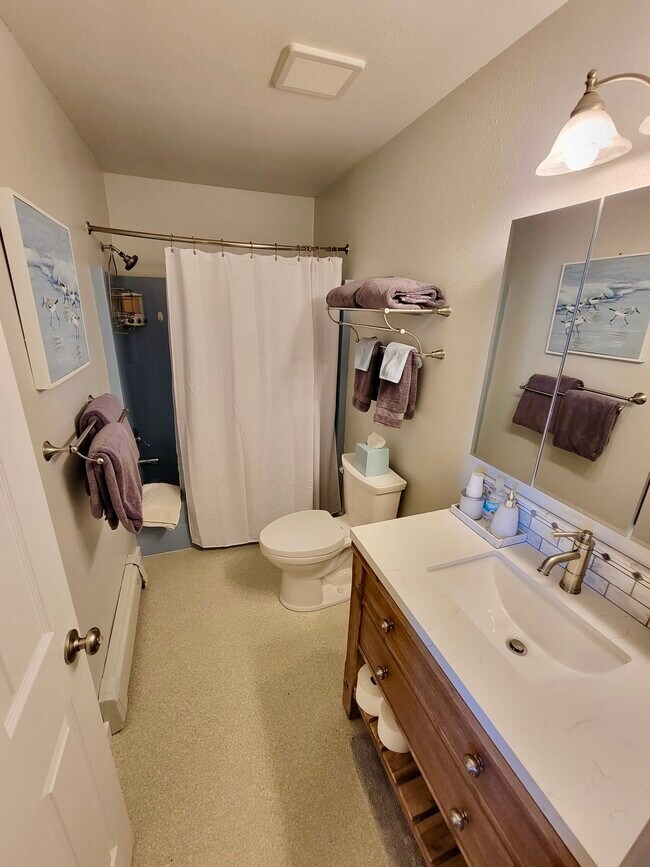 newly remodeled bathroom - 1010 Steller Way Unit 1010 Steller Apt.A