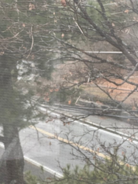 Photo - 78 Lorenzo Cir