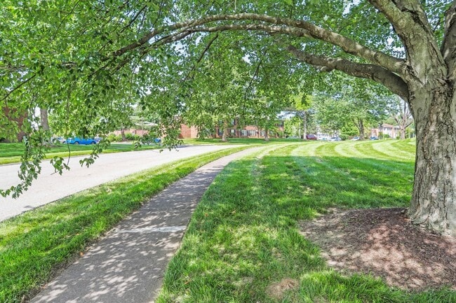 Photo - 319 Blair Ct