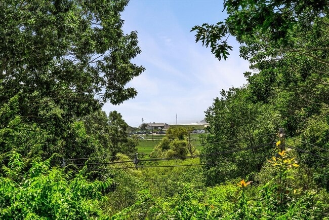 Photo - 22 Witham St Unidad 1