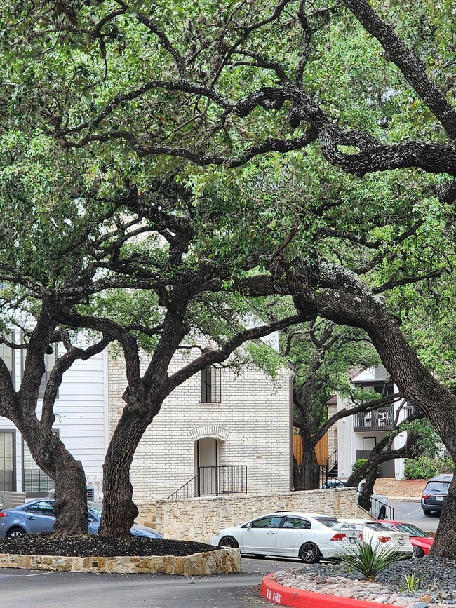 Vive bajo los robles - Deer Oaks Apartments