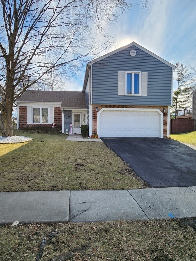 Building Photo - 264 Lincoln Dr