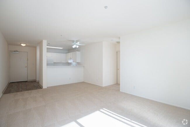 1BR, 1BA - B