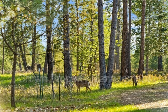 Photo - 495 Van Sant Rd