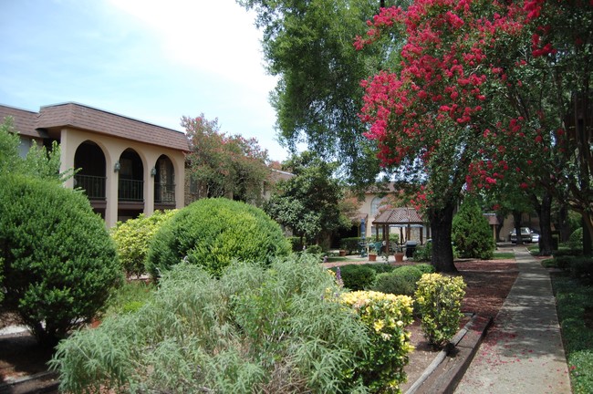 Amazing Courtyards - Wilshire Woods Apartments