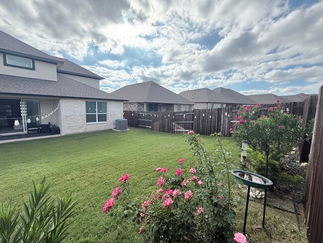 Photo - 2024 Wilsons Warbler Dr
