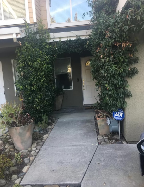 Photo - 14 Orange Blossom Way