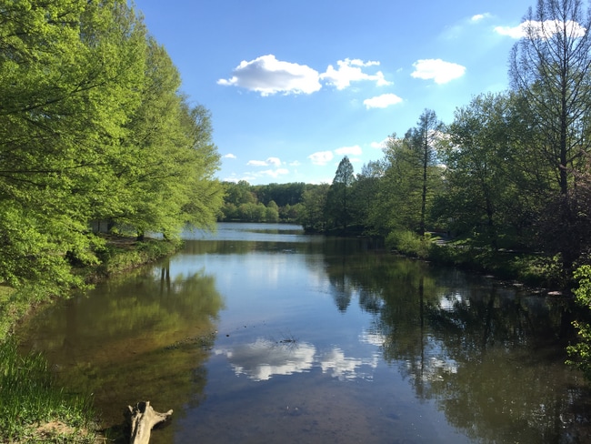 Building Photo - 7753 New Providence Dr