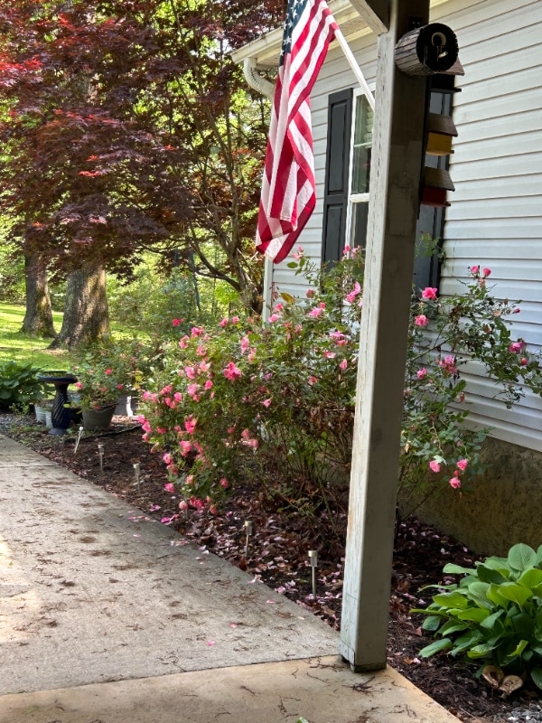 Photo - 33 T and E Ln