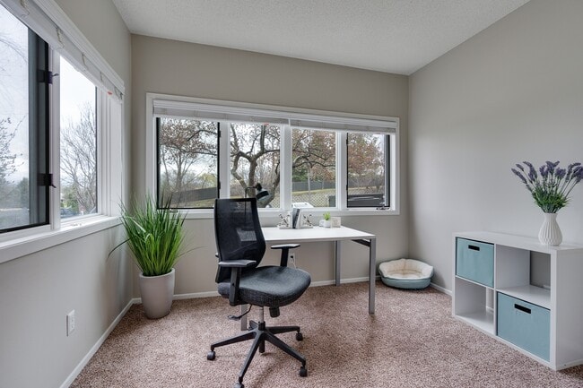 Renovated Den Area With Lots Of Windows