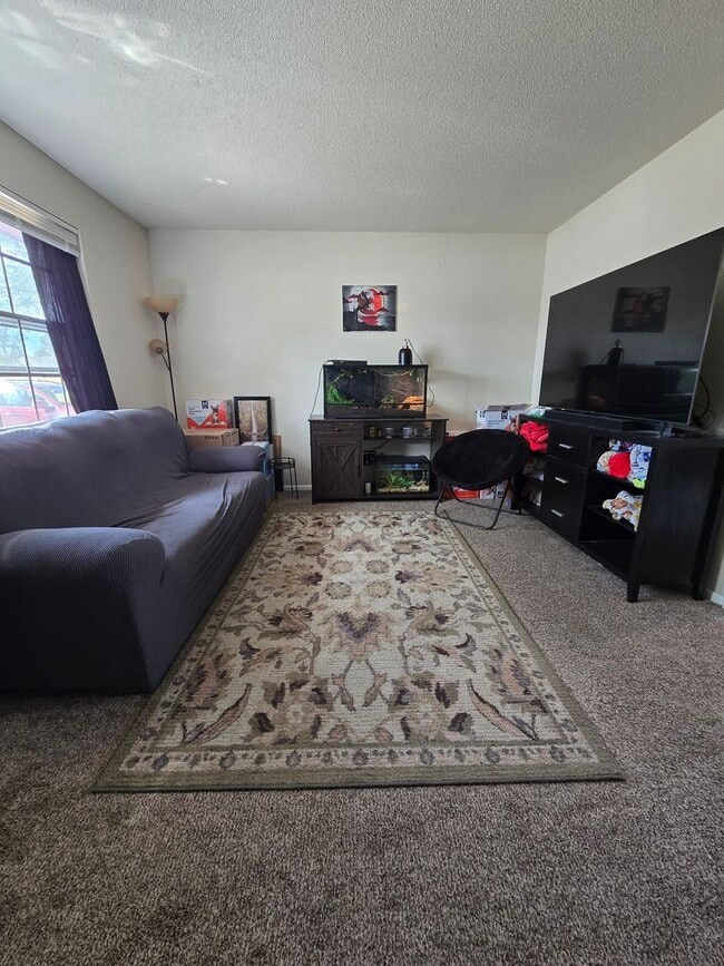 Photo - Great Home in Greeley