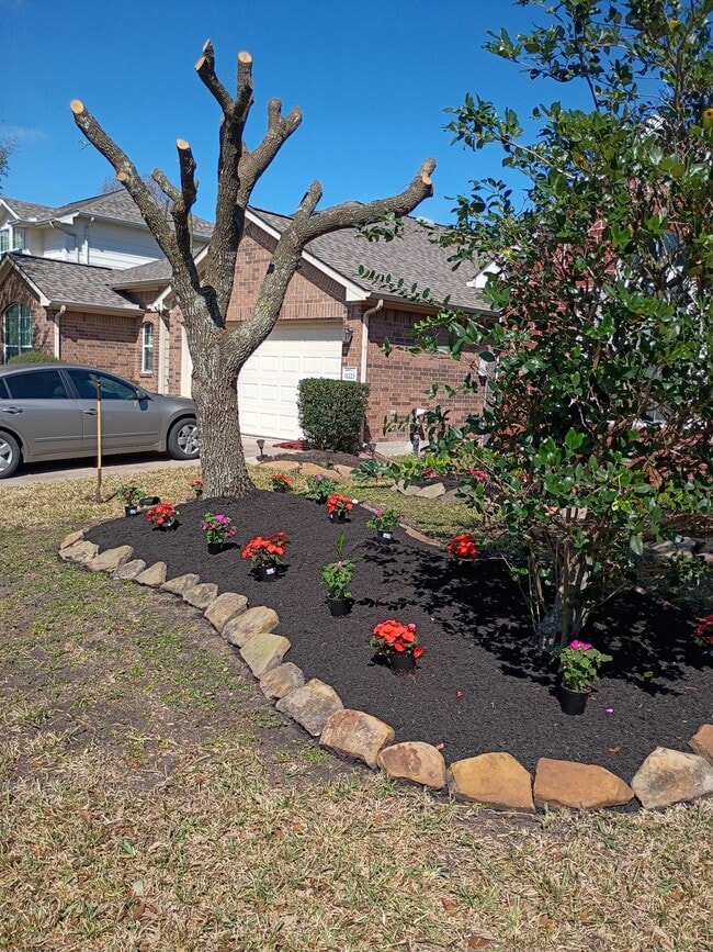 Photo - 11227 Agave Ridge Ln