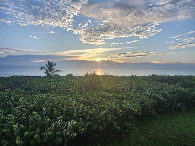 Building Photo - 3870 N Hwy A1A Unit 202