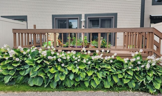 Photo - 1226 Charleston Ct