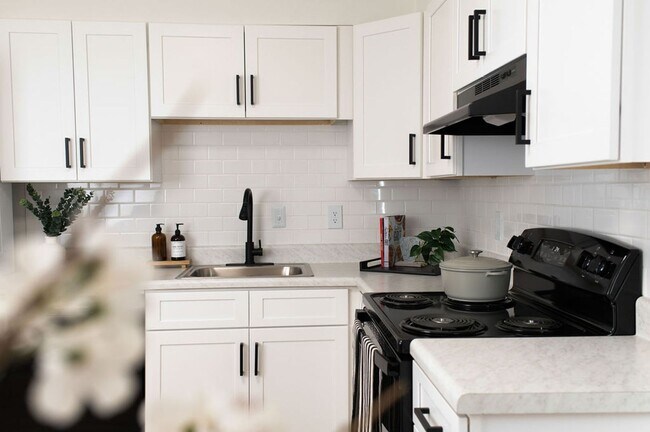 Photo - Mulberry Pond