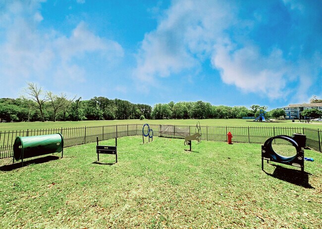 Dog Park with Agility Equipment