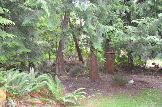 Photo - 3700 Beazer Rd