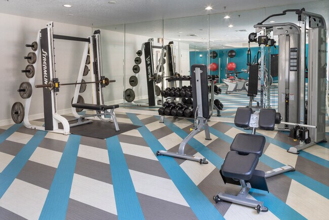 Photo - Central Park