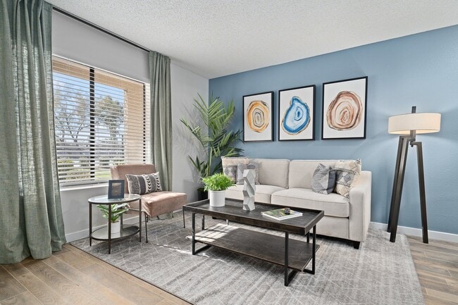 Solas Glendale