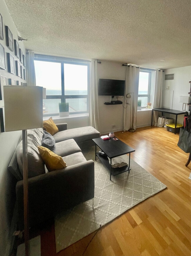 Building Photo - 474 N Lake Shore Dr Unit 3806 Rental