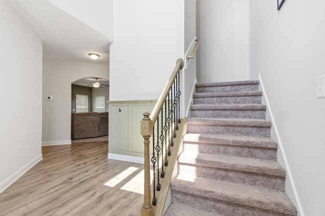 Photo - 2012 Snapper St