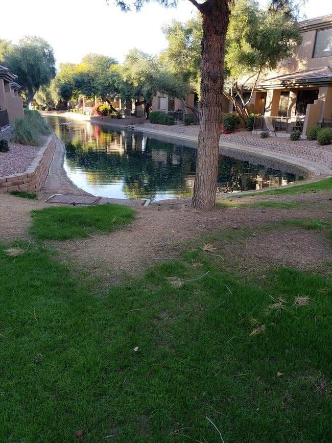 Photo - COMING SOON IN THE BRIDGES OF OCOTILLO CHANDLER