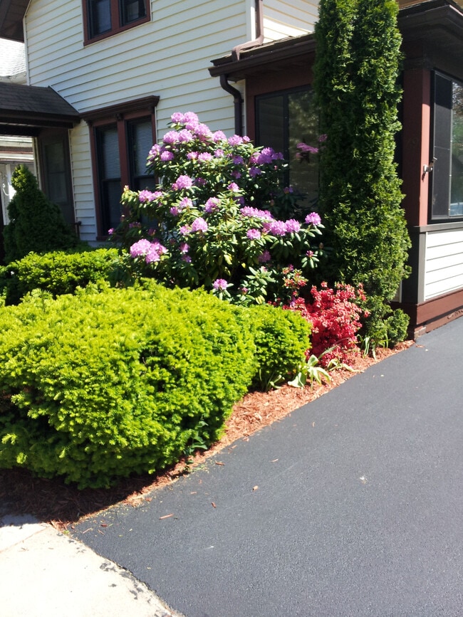 Building Photo - 69 Cypress St Unit 69 Cypress