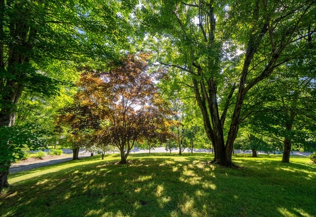 Photo - 558 Riceville Rd
