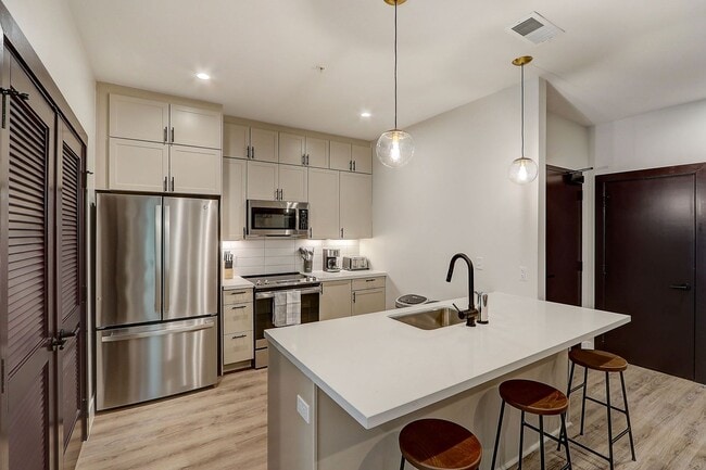 Photo - Cypress on Vine