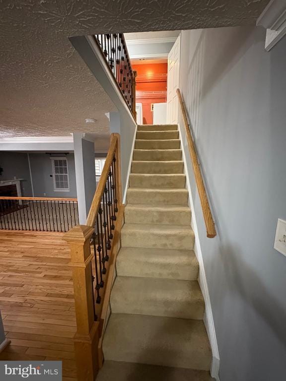 Photo - 10811 Topbranch Ln