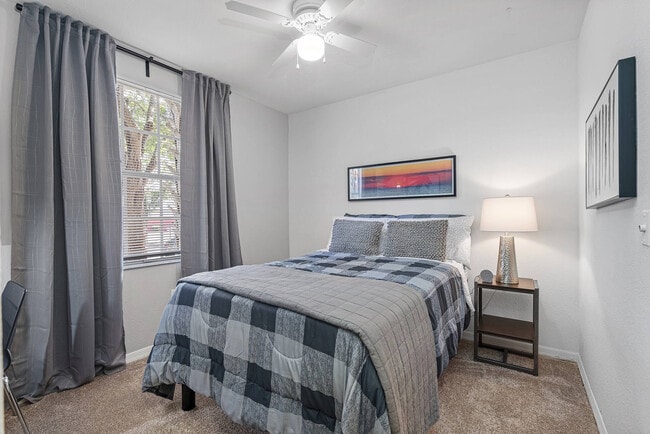 Vue Tampa