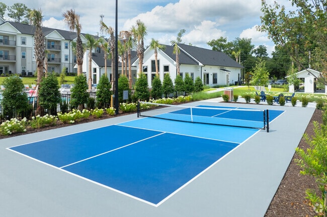 Pickleball Court
