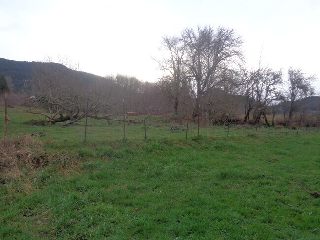 Photo - Breath of Fresh Air