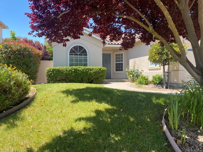 Photo - 4 bedroom in Paso Robles