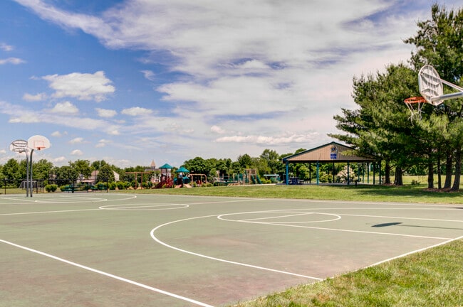 Basketball Courts