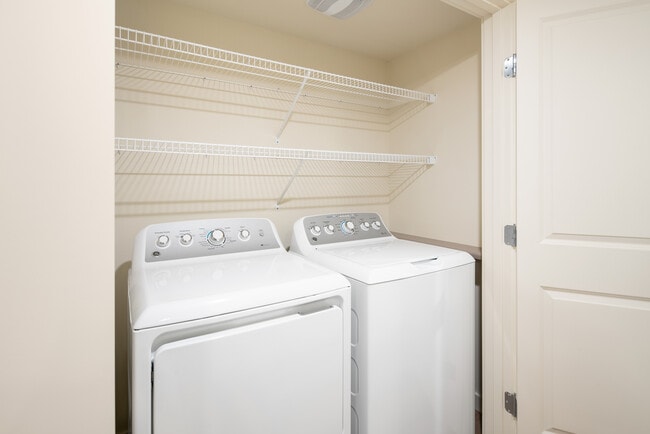 Photo - Copper Platte