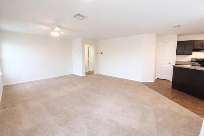 Photo - 122 Moscovy Duck