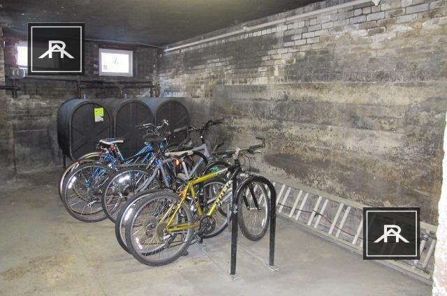 Photo - 1 bedroom in Allston MA 02134 Unit 10