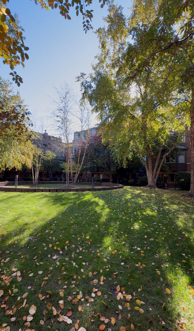 Photo - 1351 W Altgeld St