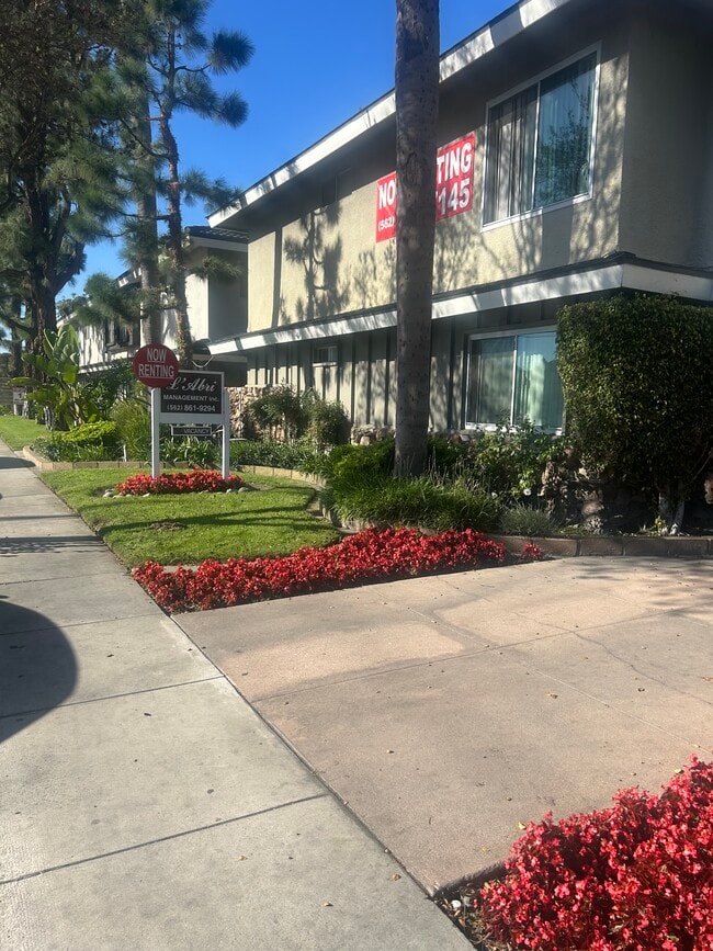 The Cornerstone Apartments - The Cornerstone Apartments